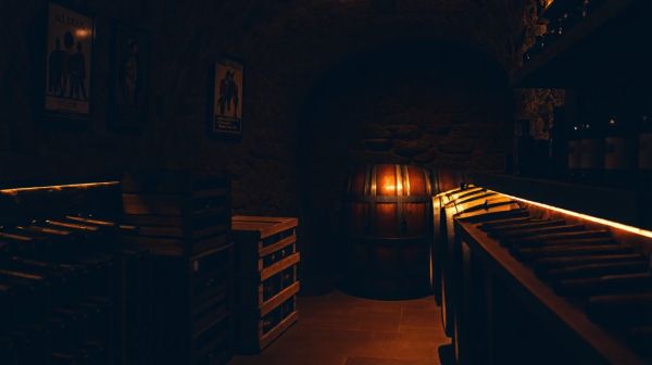 Top raisons d’adopter une cave à vin pour les passionnés
